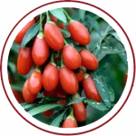 Goji