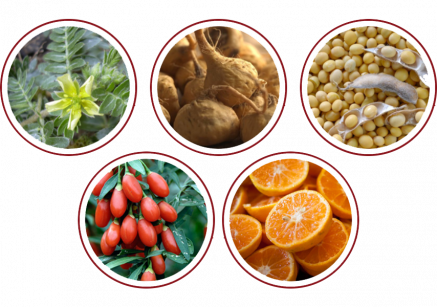 candy b+ vitamin b complex