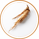 ingredient01
